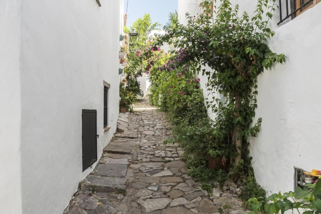Tranquilo Y Comodo Apartamento En Vejer De La Frontera Ngoại thất bức ảnh